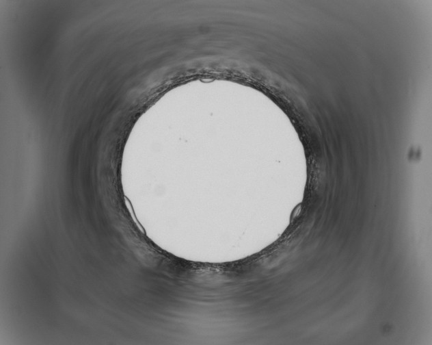 X0000101401489200808041028