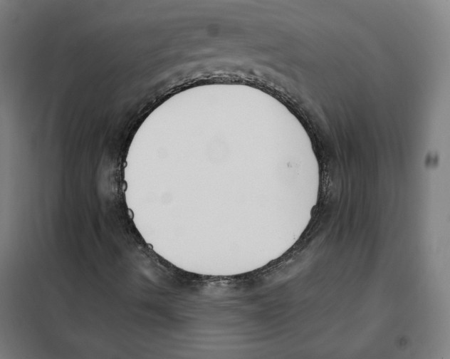 X0000101401490200808041028