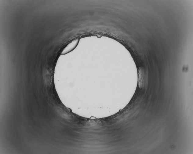 X0000101401491200808041028