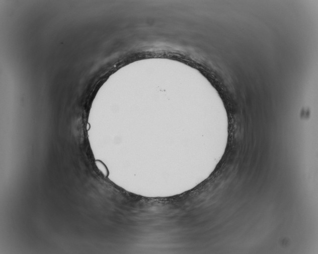 X0000101401493200808041028