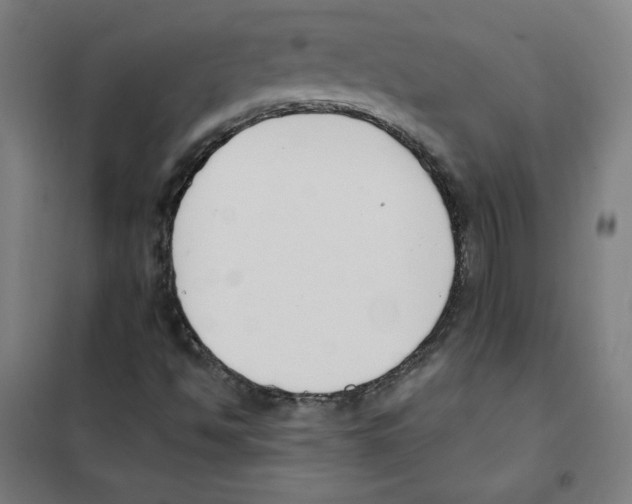 X0000101401494200808041028