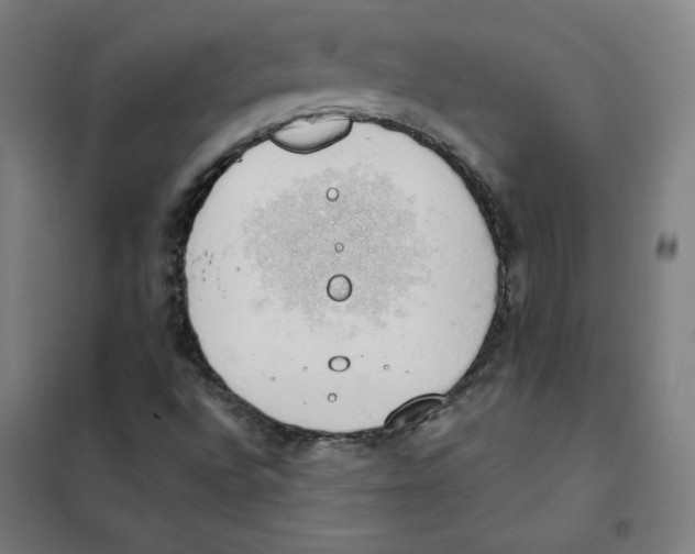 X0000101401496200808041028