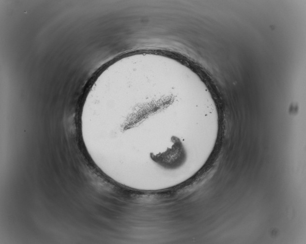 X0000101401497200808041028