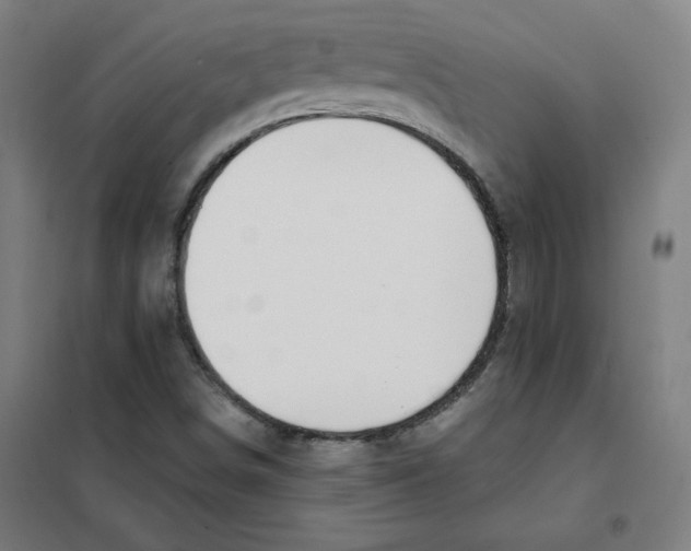 X0000101401498200808041028