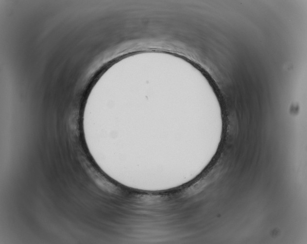 X0000101401499200808041028