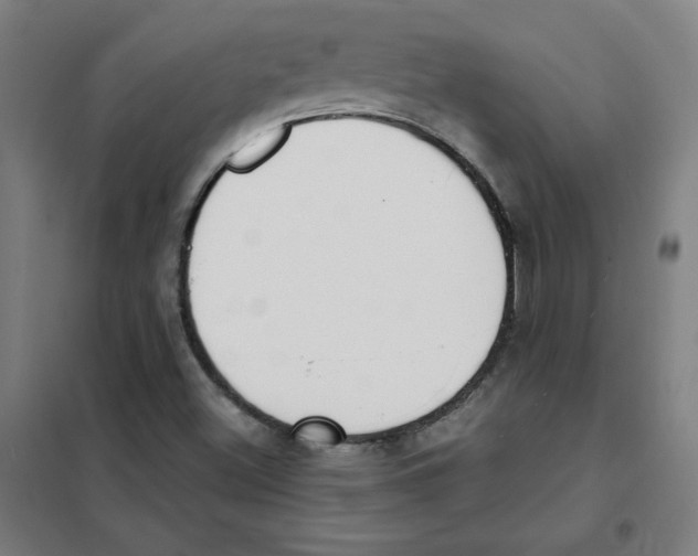 X0000101401500200808041028