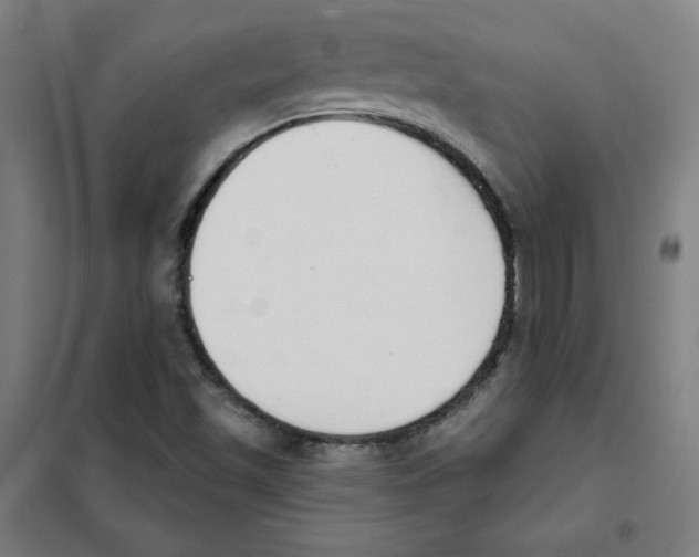 X0000101401501200808041028