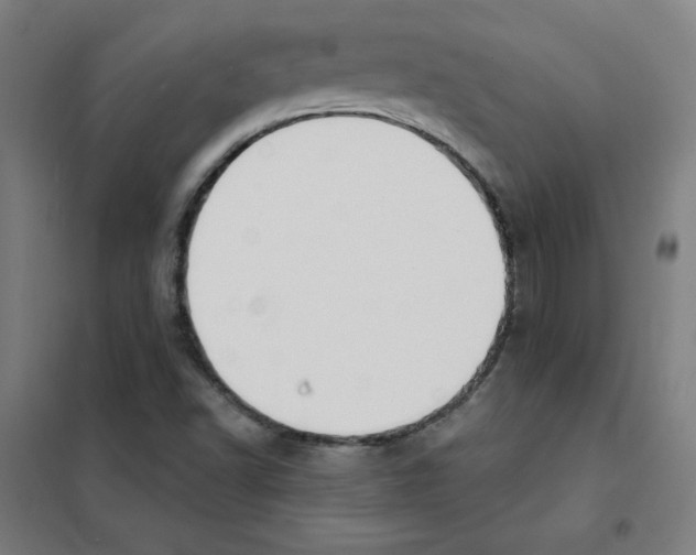 X0000101401502200808041028