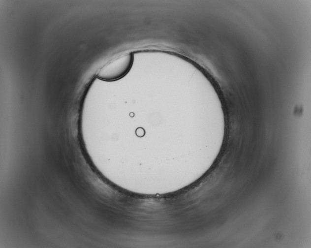 X0000101401504200808041028