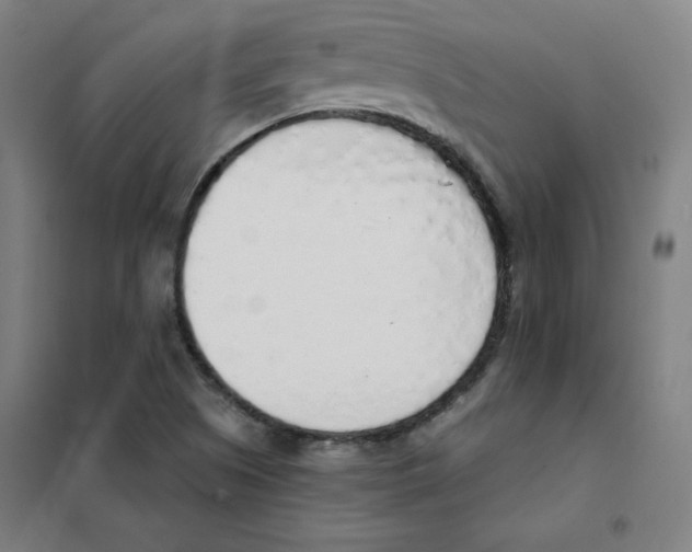 X0000101401505200808041028