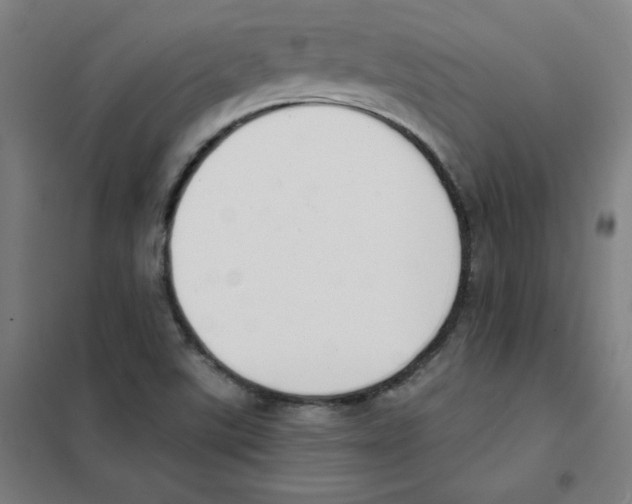 X0000101401507200808041028