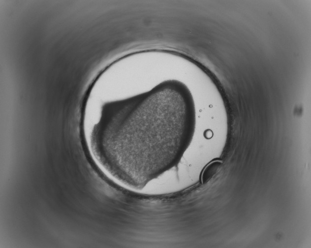 X0000101401508200808041028