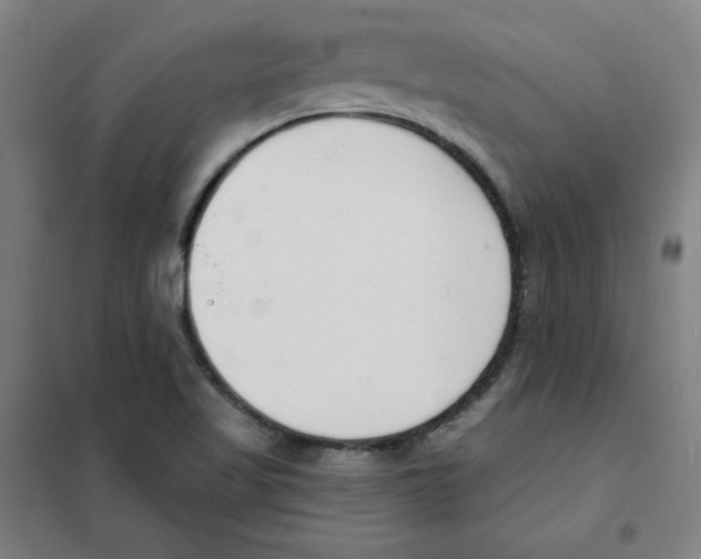 X0000101401509200808041028