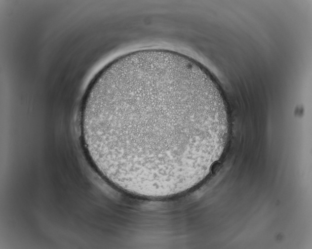 X0000101401510200808041028