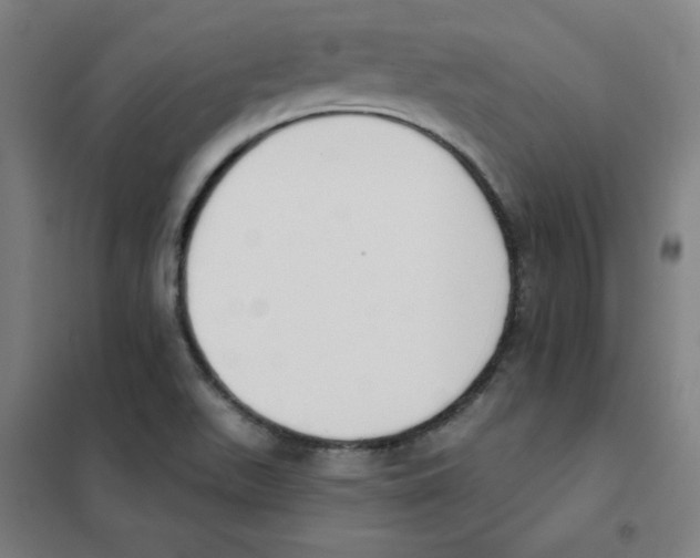 X0000101401511200808041028