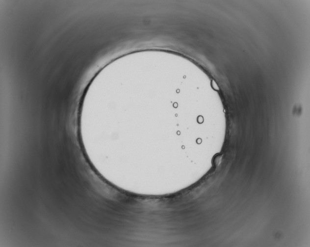 X0000101401512200808041028