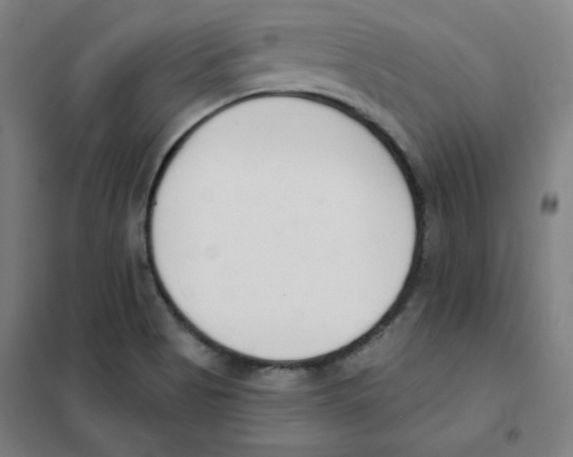 X0000101401513200808041028