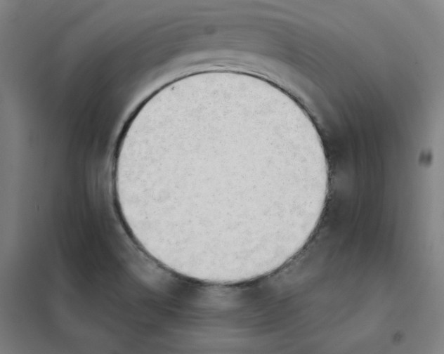 X0000101401514200808041028