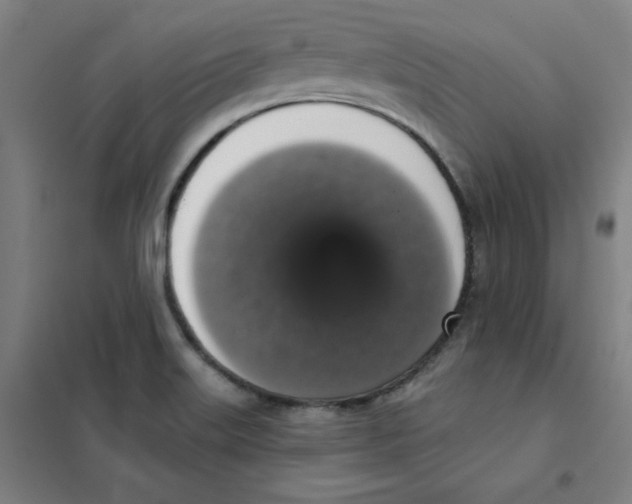 X0000101401515200808041028