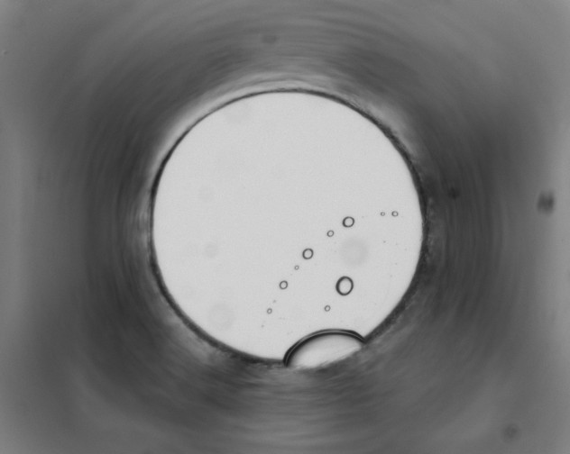 X0000101401516200808041029