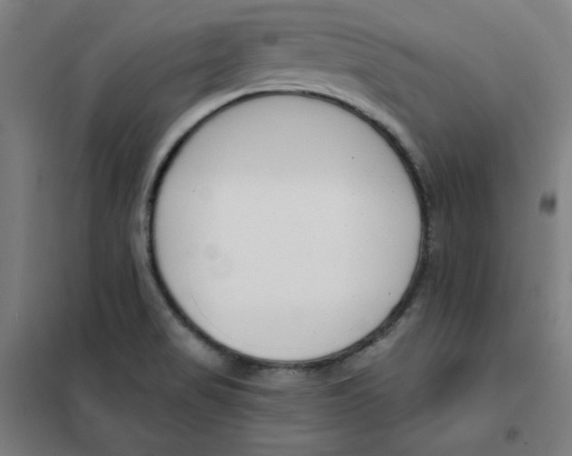 X0000101401517200808041029