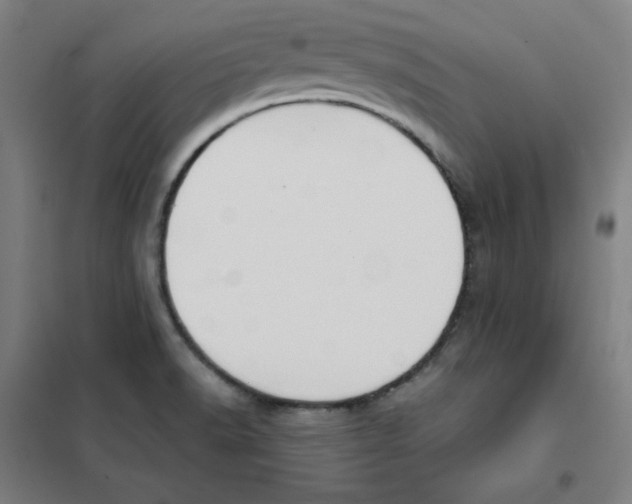 X0000101401518200808041029