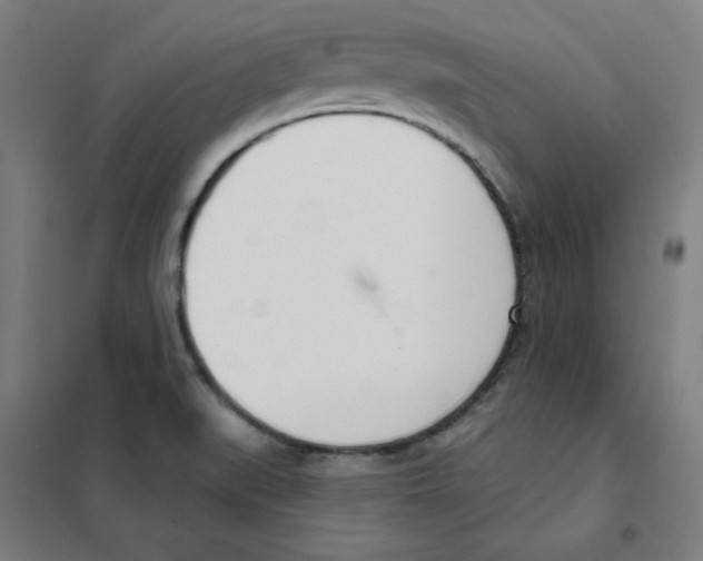 X0000101401519200808041029