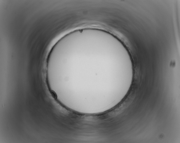 X0000101401520200808041029