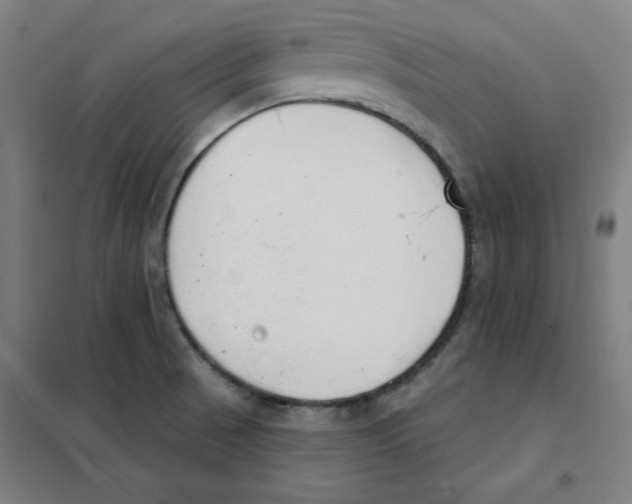 X0000101401521200808041029