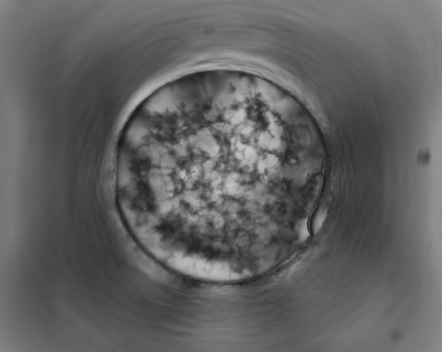 X0000101401522200808041029