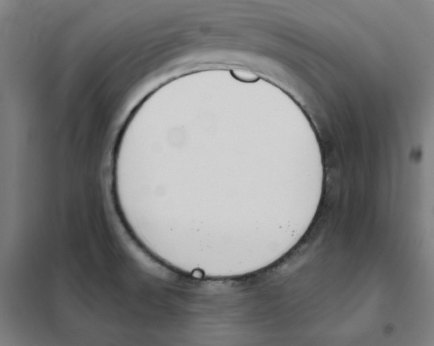 X0000101401523200808041029