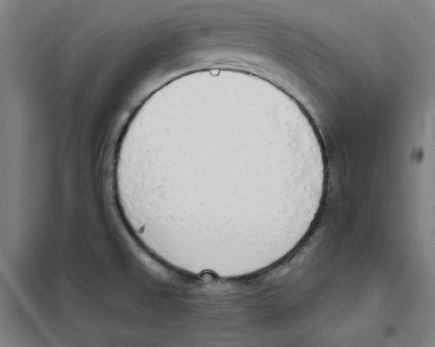 X0000101401525200808041029