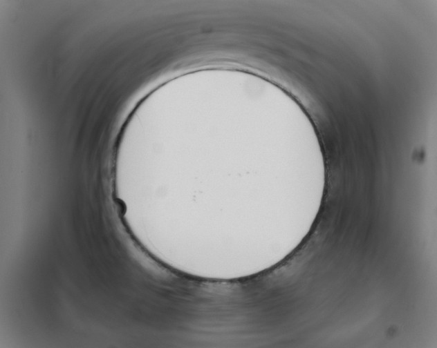 X0000101401526200808041029