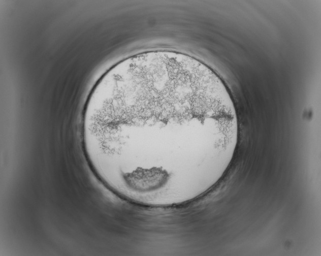 X0000101401527200808041029