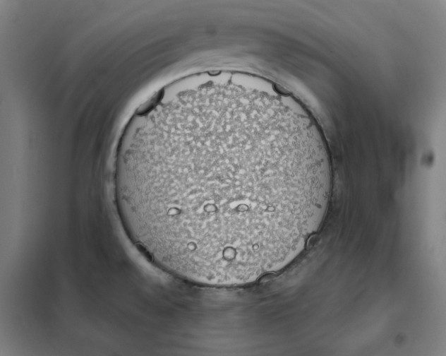 X0000101401528200808041029