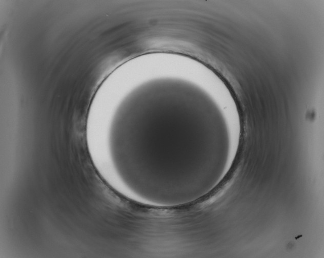 X0000101401529200808041029