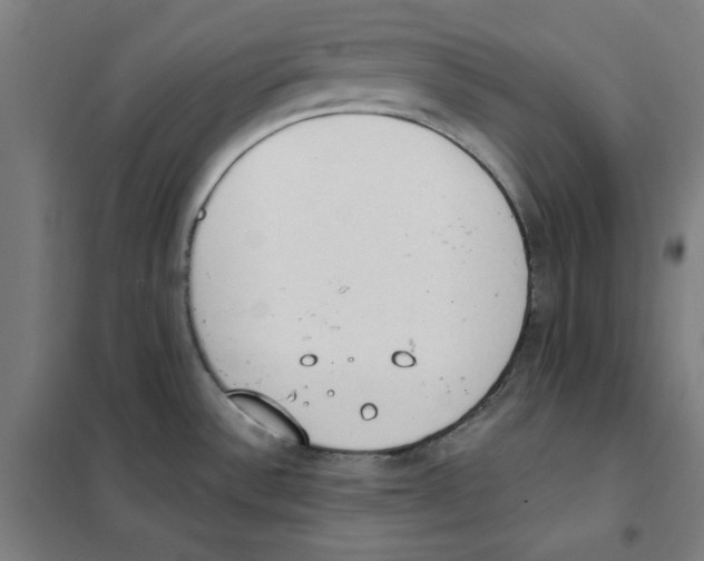 X0000101401532200808041029