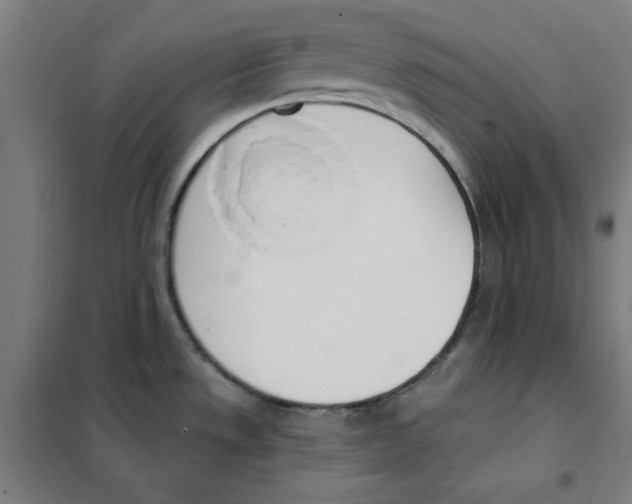 X0000101401533200808041029