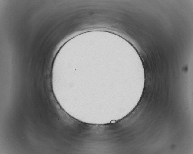 X0000101401534200808041029