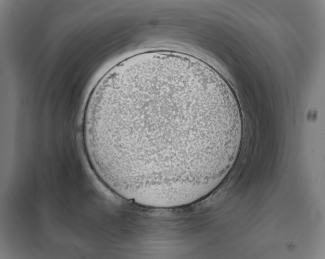 X0000101401536200808041029