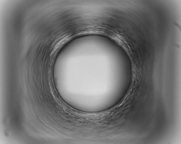 X0000101410001200807071018
