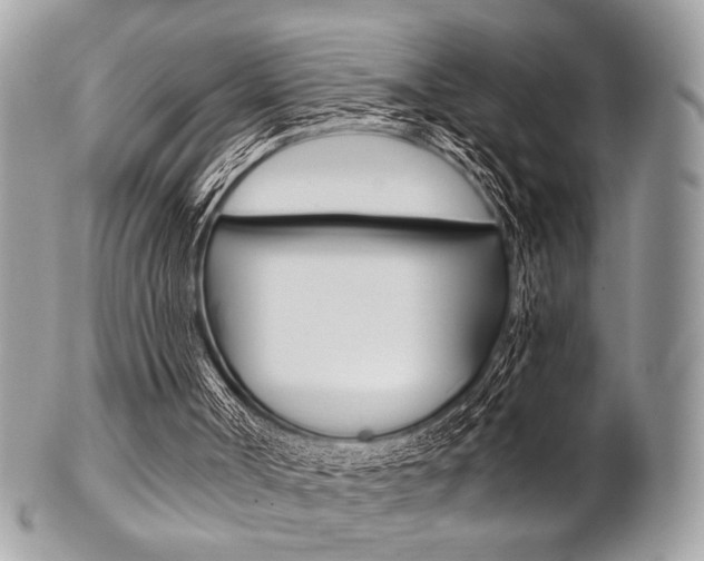 X0000101410002200807071018