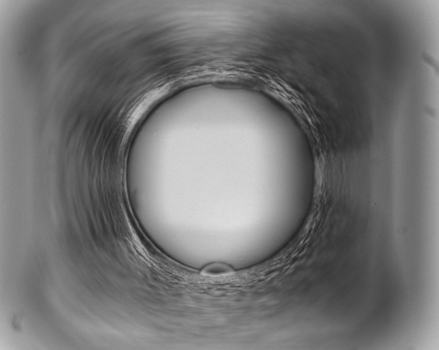 X0000101410003200807071018
