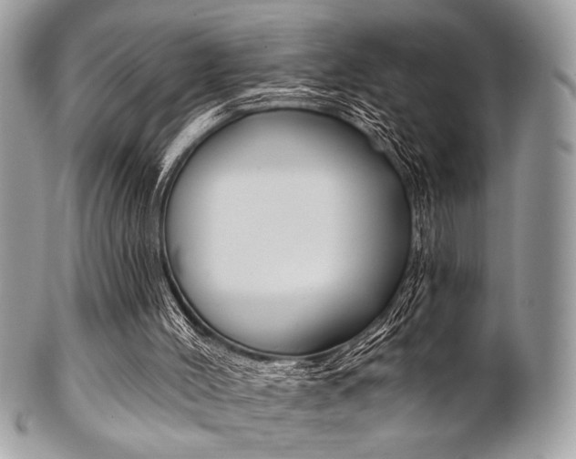 X0000101410004200807071018