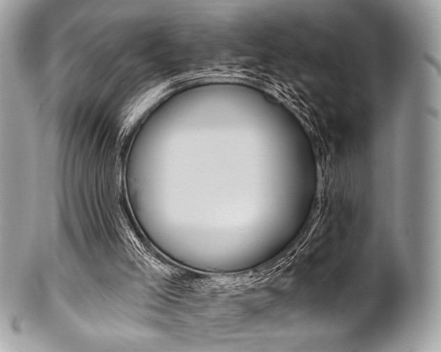 X0000101410005200807071018