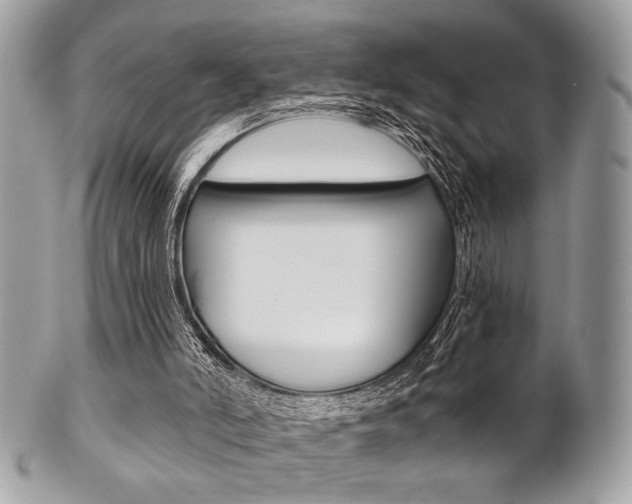 X0000101410006200807071018