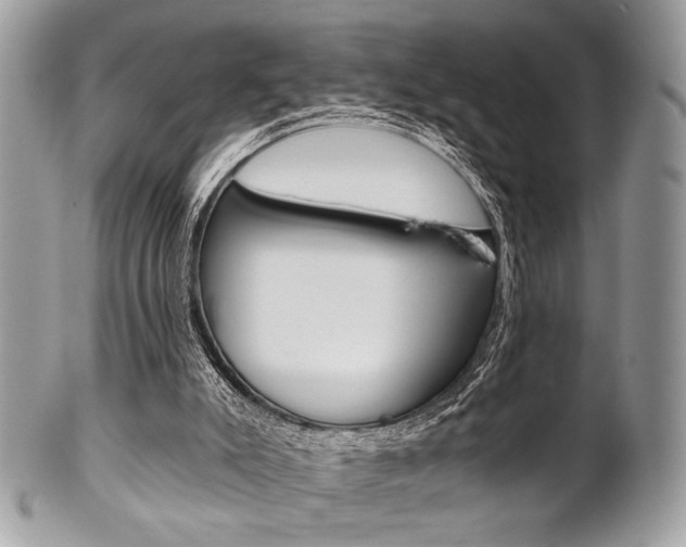 X0000101410007200807071018