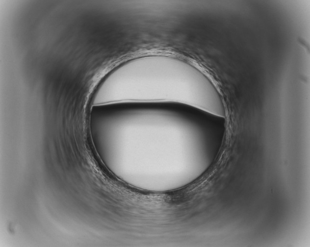 X0000101410008200807071018