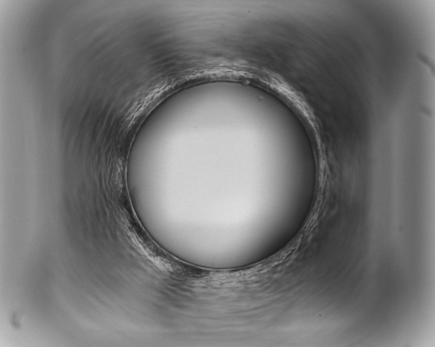 X0000101410009200807071018