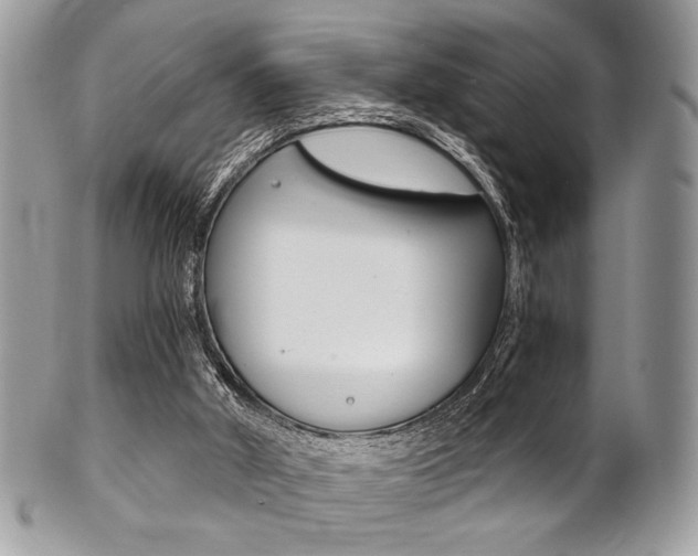 X0000101410010200807071018